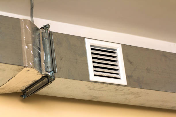 Best Professional Duct Cleaning Services  in Lus Valley Marinwood, CA